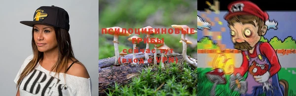 соль курить ск Богданович