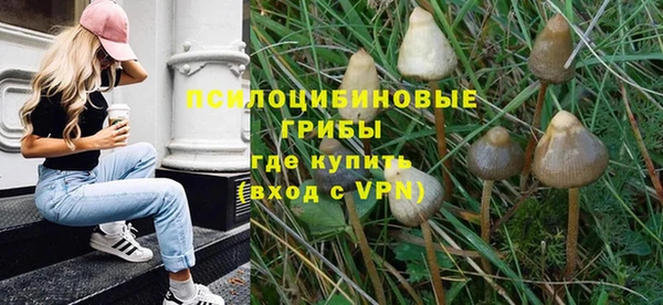 первитин Богородицк
