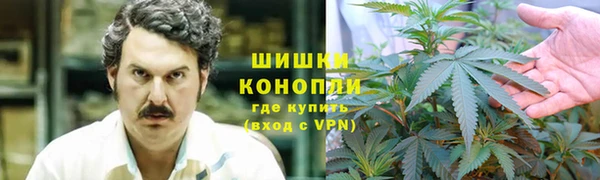 соль курить ск Богданович