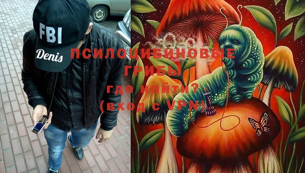 первитин Богородицк