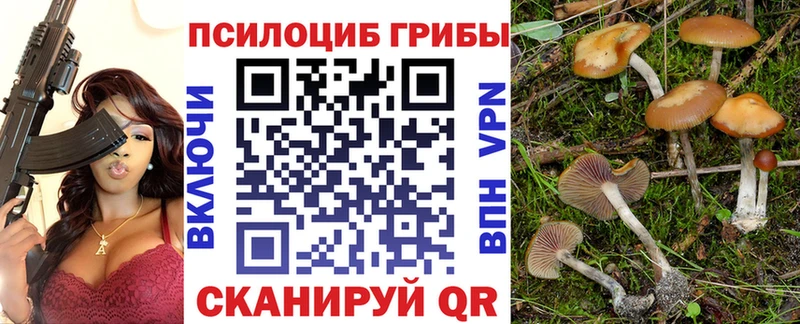 Псилоцибиновые грибы мухоморы  Купить где  Пустошка 